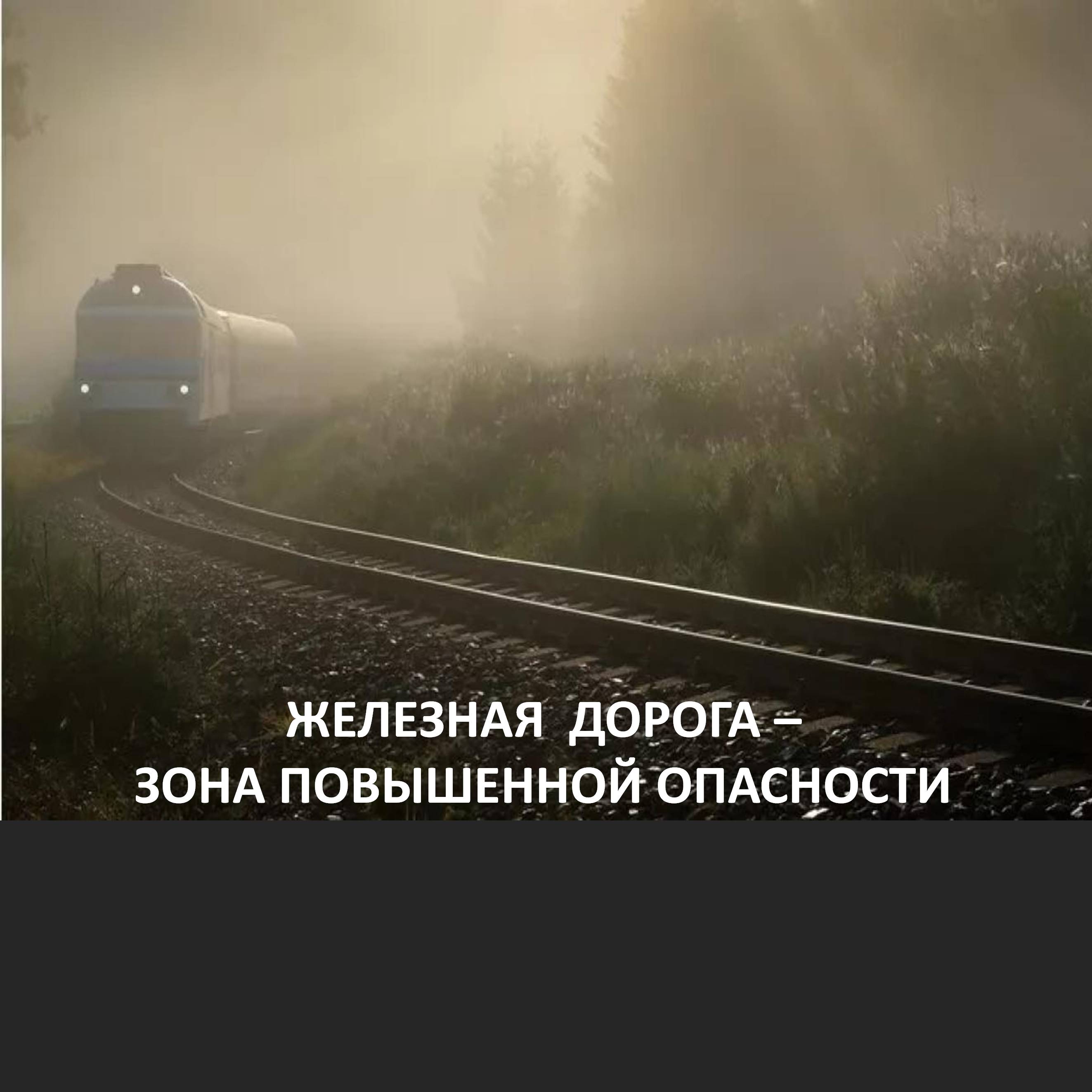 Правила безопасного поведения на железнодорожном транспорте.