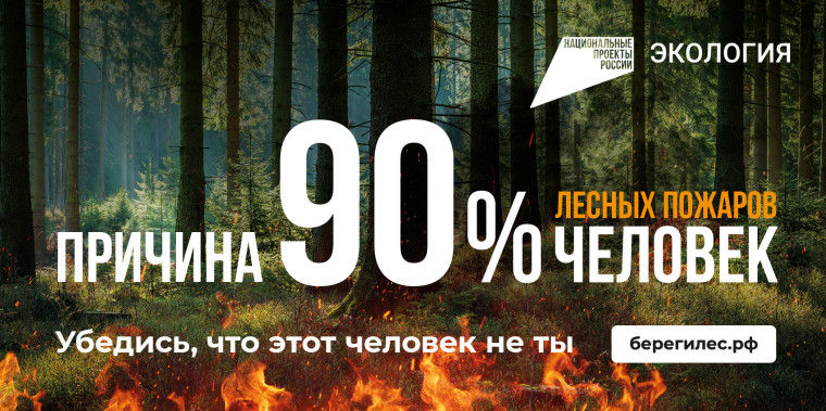 Сохраним лес!. Сохраним лес!.