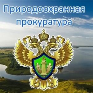 Разъяснение Калужской межрайонной природоохранной прокуратуры о возможности владения на праве собственности земельным участком, расположенным в береговой полосе и акватории водного объекта. Разъяснение Калужской межрайонной природоохранной прокуратуры о возможности владения на праве собственности земельным участком, расположенным в береговой полосе и акватории водного объекта.